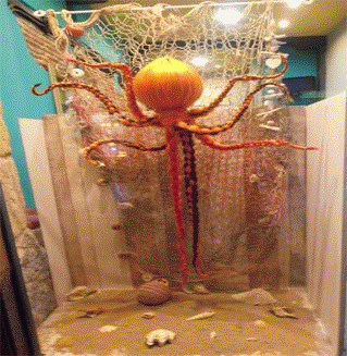 ESCAPARATES BILBAO 2026 Escaparates Tiendas Casco Viejo Bilbao